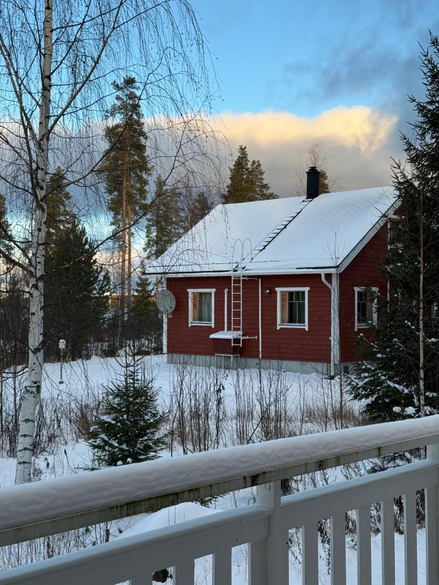 Tiiringolf Cottages Nilsiä 外观 照片
