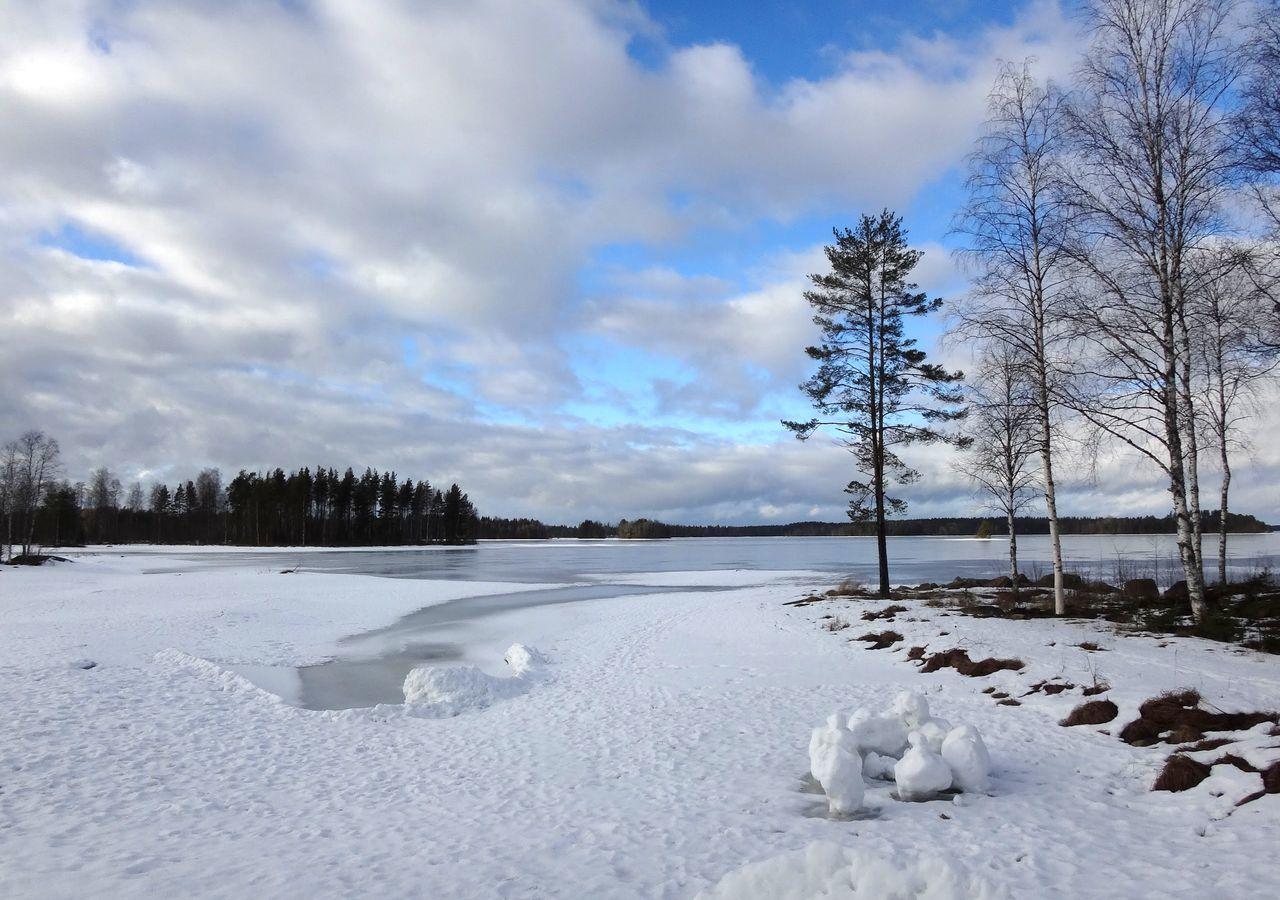 Tiiringolf Cottages Nilsiä 外观 照片